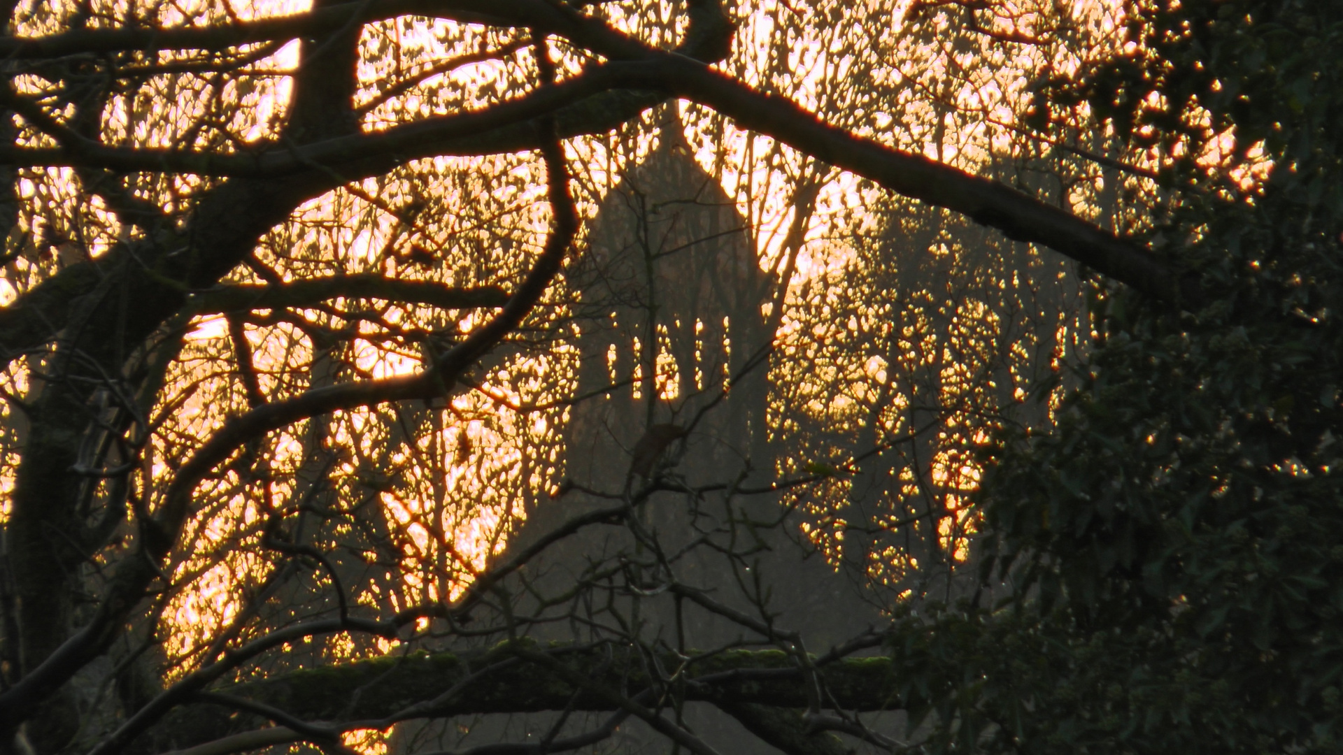 Sonnenaufgang hinter dem Lauenburger Schlossturm