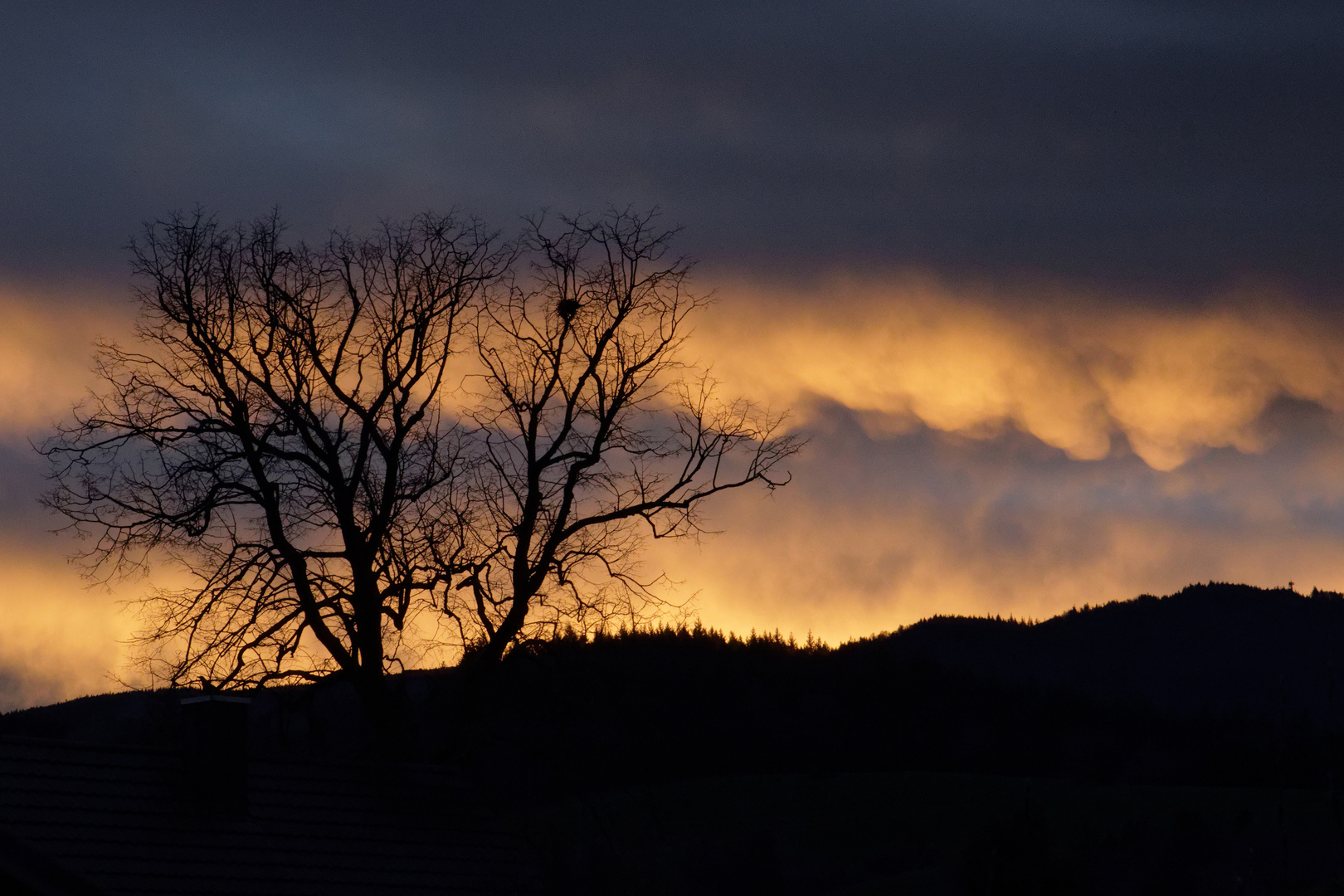 Sonnenaufgang hinter dem Schauinsland 