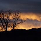 Sonnenaufgang hinter dem Schauinsland 