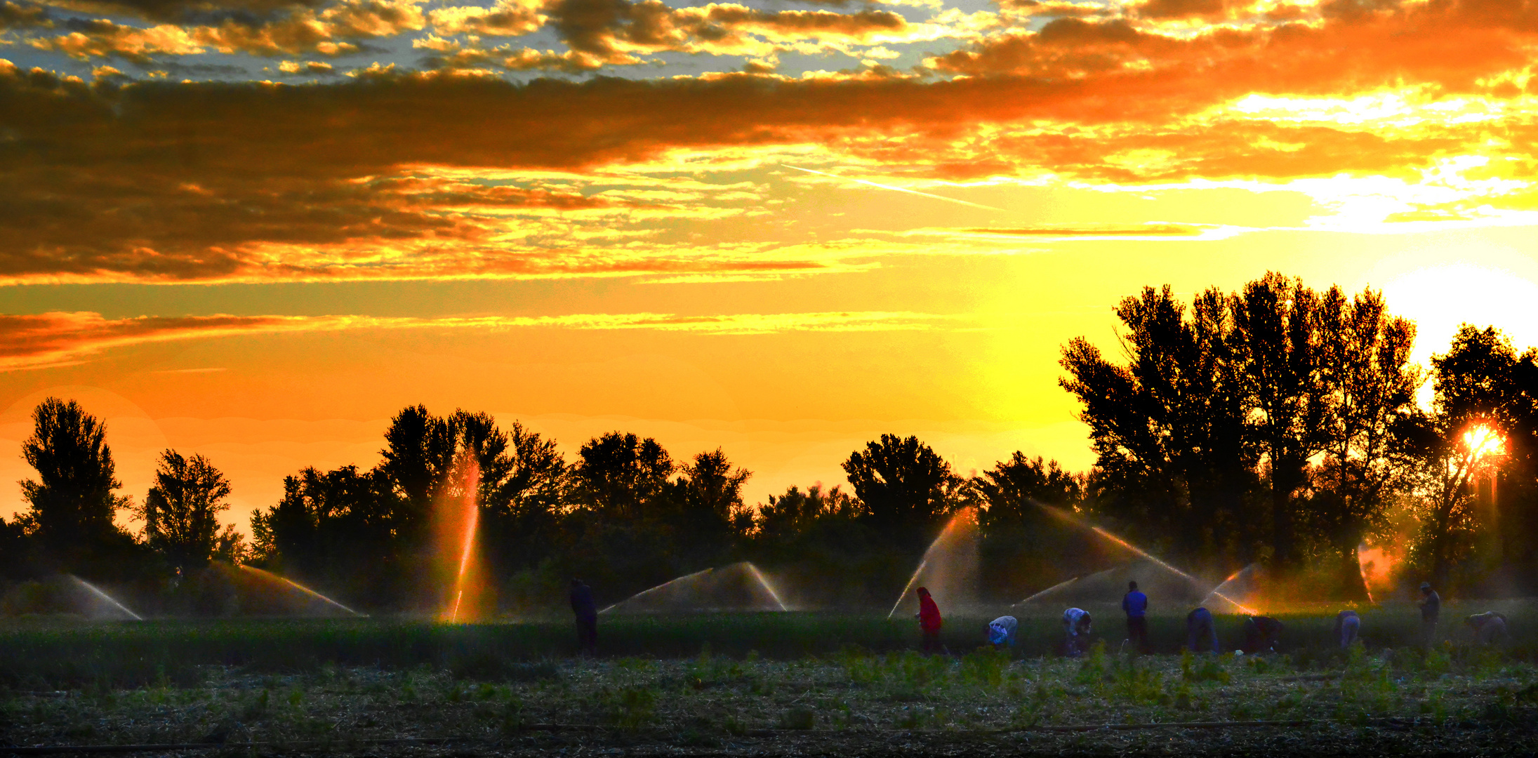 Sonnenaufgang hinter landschaftlicher Nutzfläche