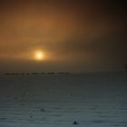 Sonnenaufgang hinter Nebelwand