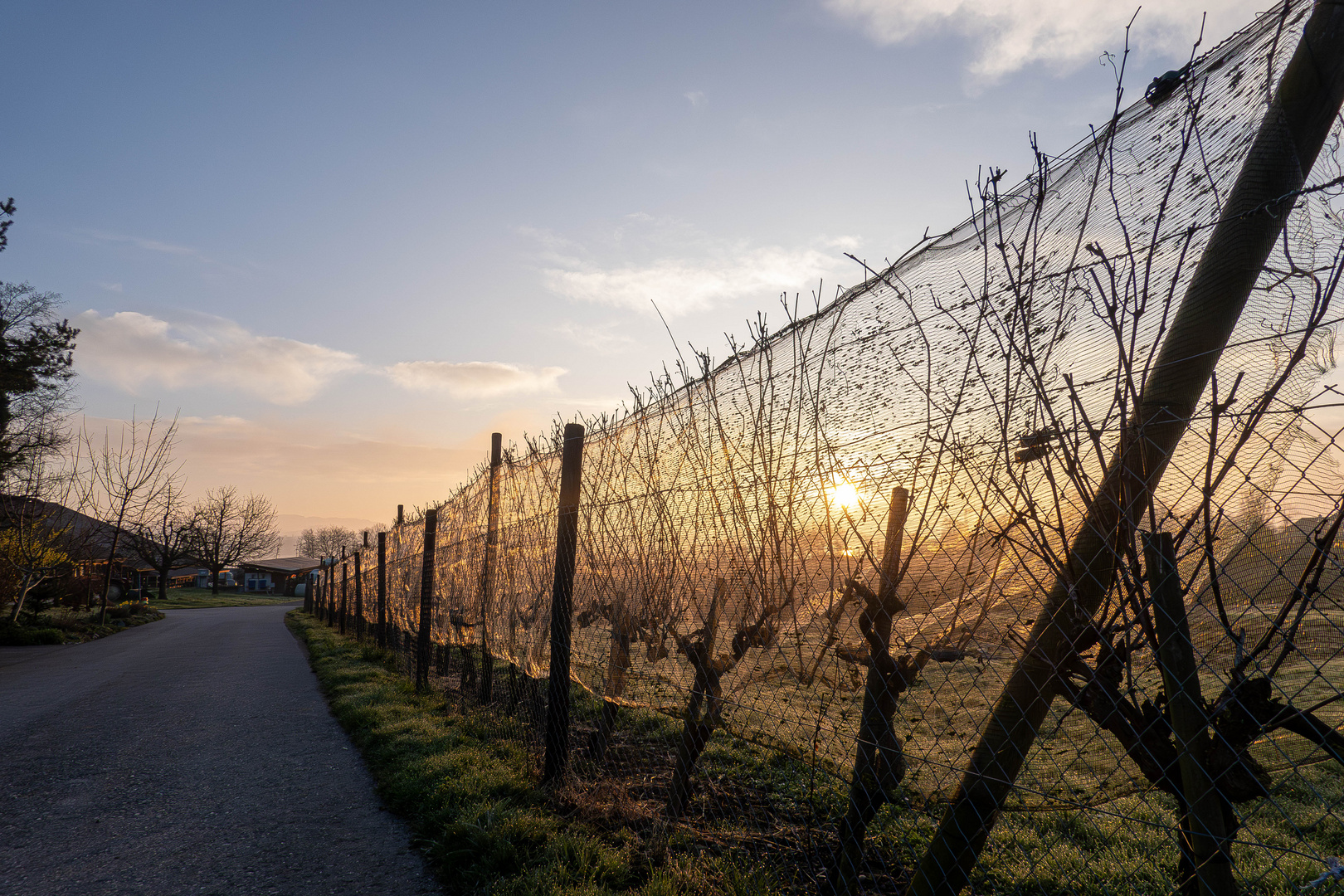 Sonnenaufgang hinter Netzen