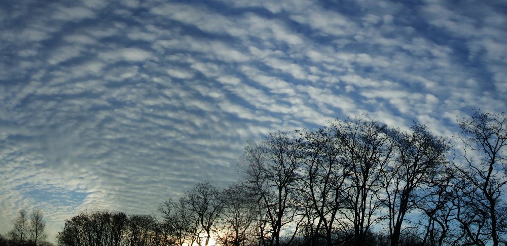 Sonnenaufgang hinter unserem Garten