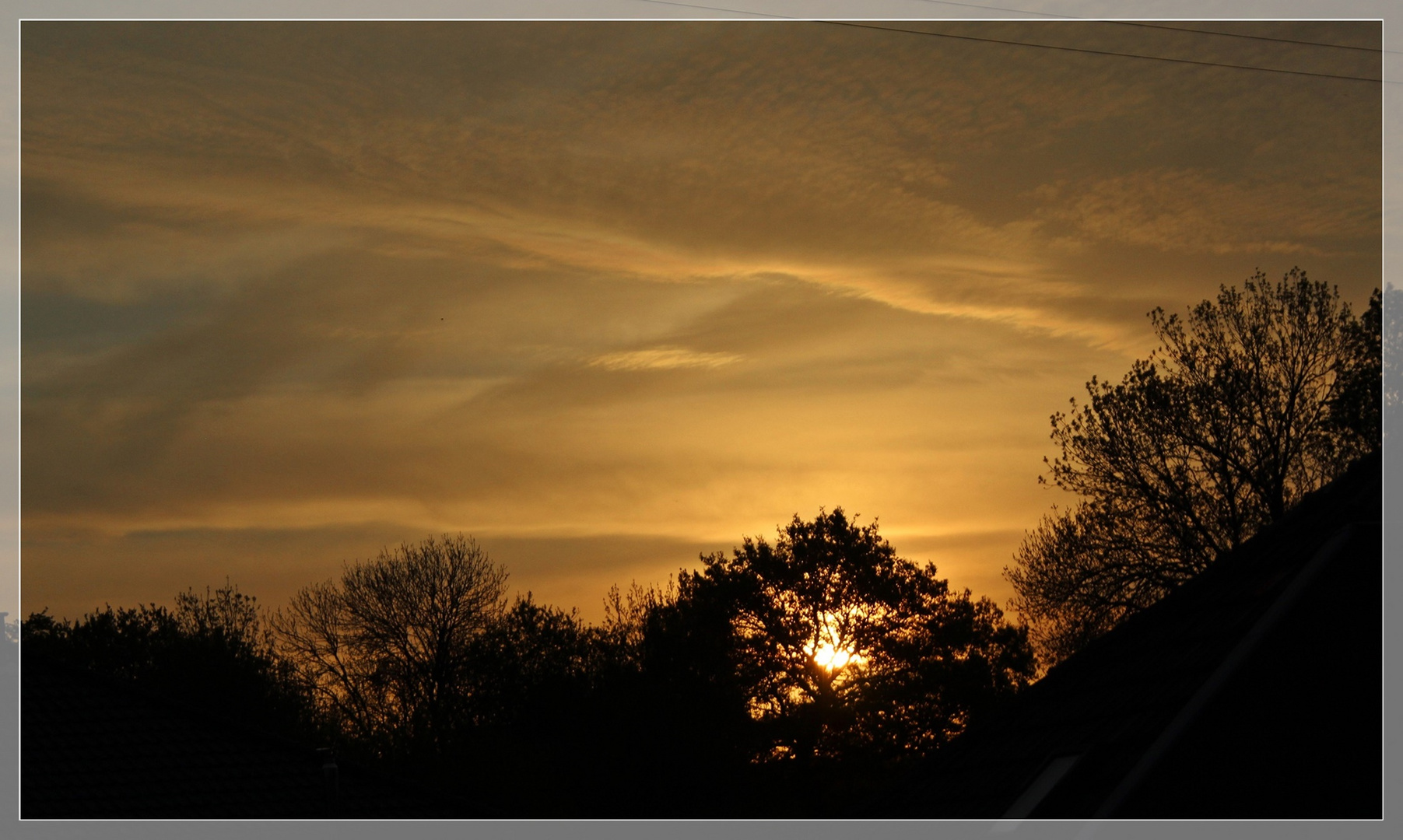 Sonnenaufgang hinterm Baum