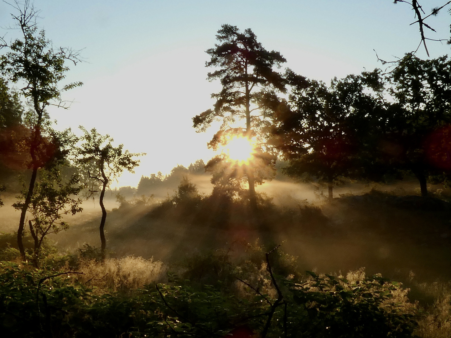 Sonnenaufgang hinterm Haus……..