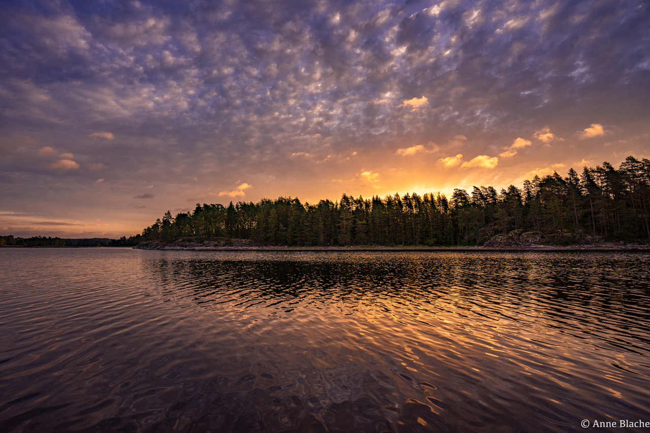 Sonnenaufgang hinterm Nadelwald