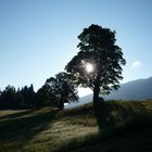 Sonnenaufgang Hirschegg / Au im Kleinwalsertal