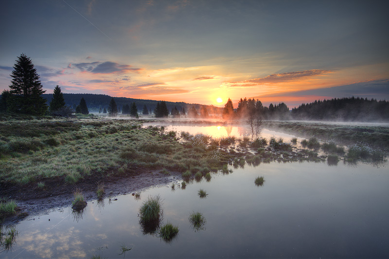 Sonnenaufgang Hohes Venn