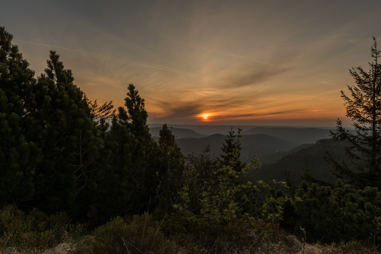 Sonnenaufgang - Hornisgrinde