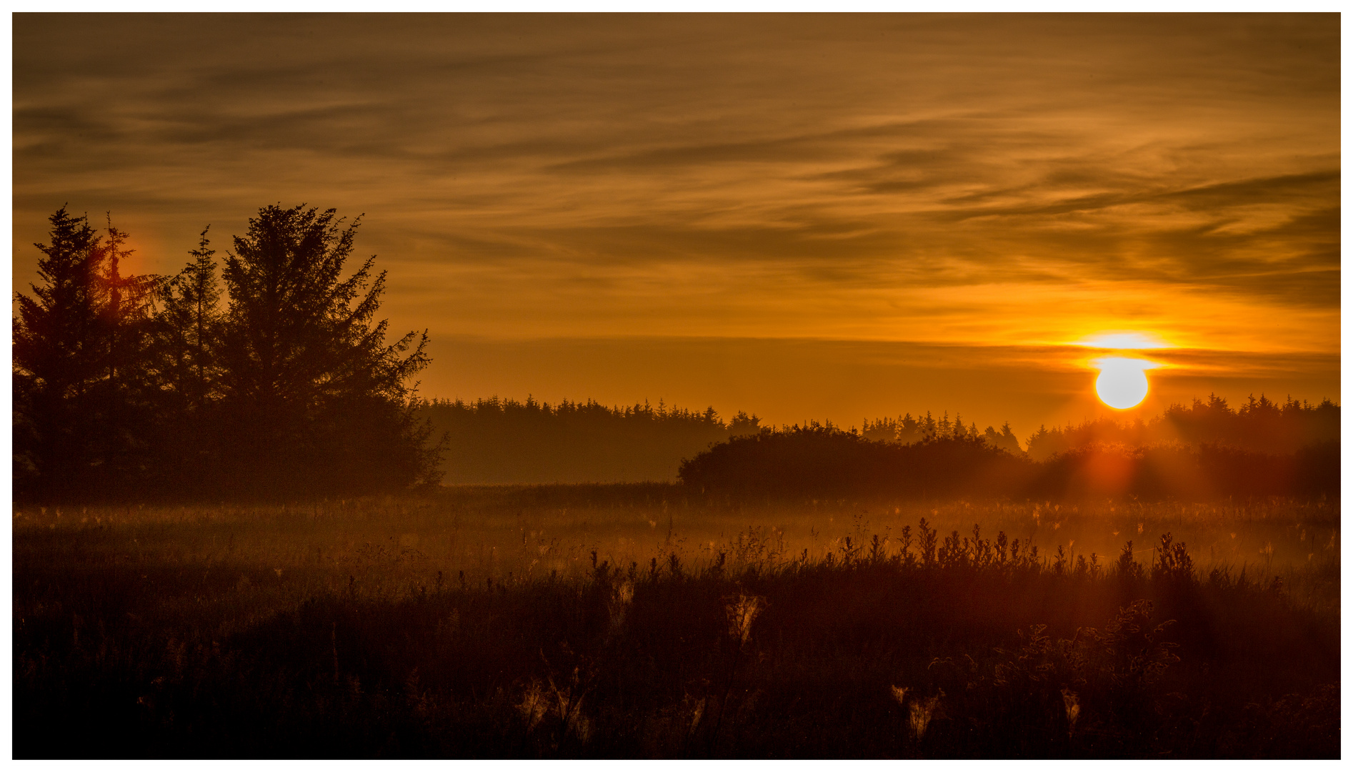 SONNENAUFGANG I