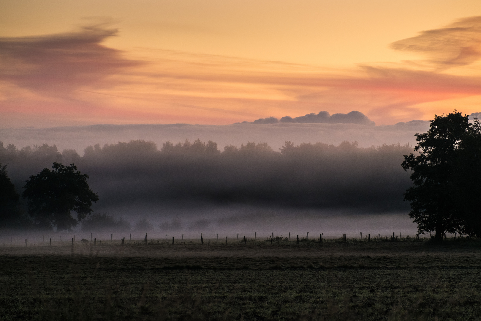 Sonnenaufgang II