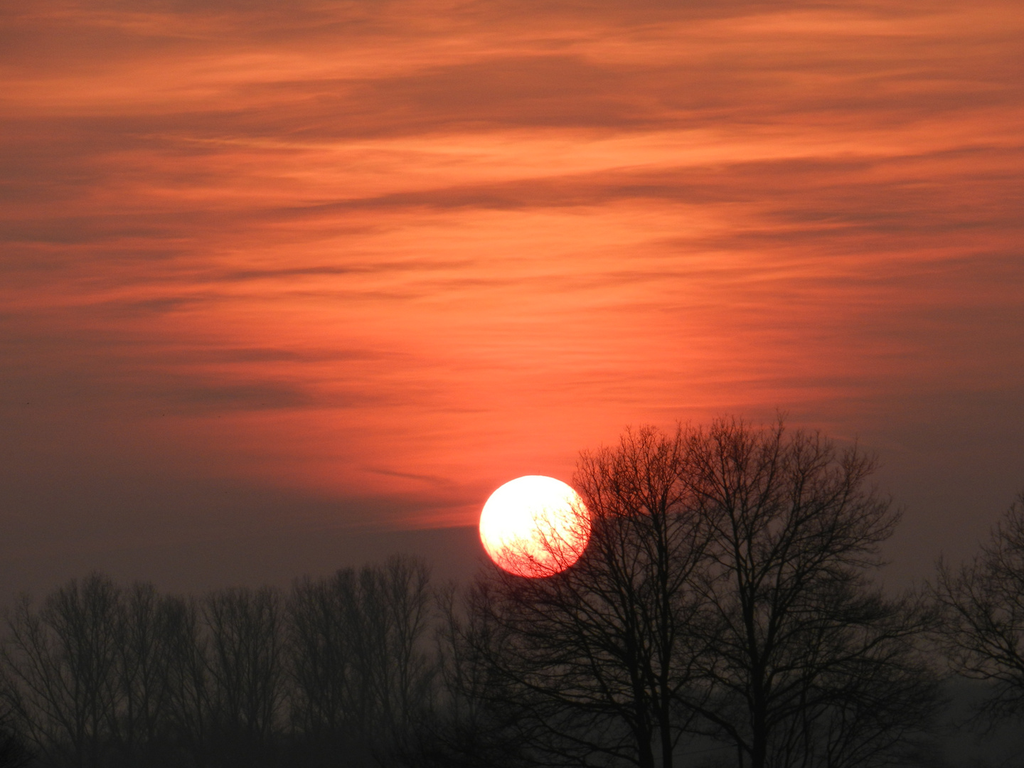 Sonnenaufgang II