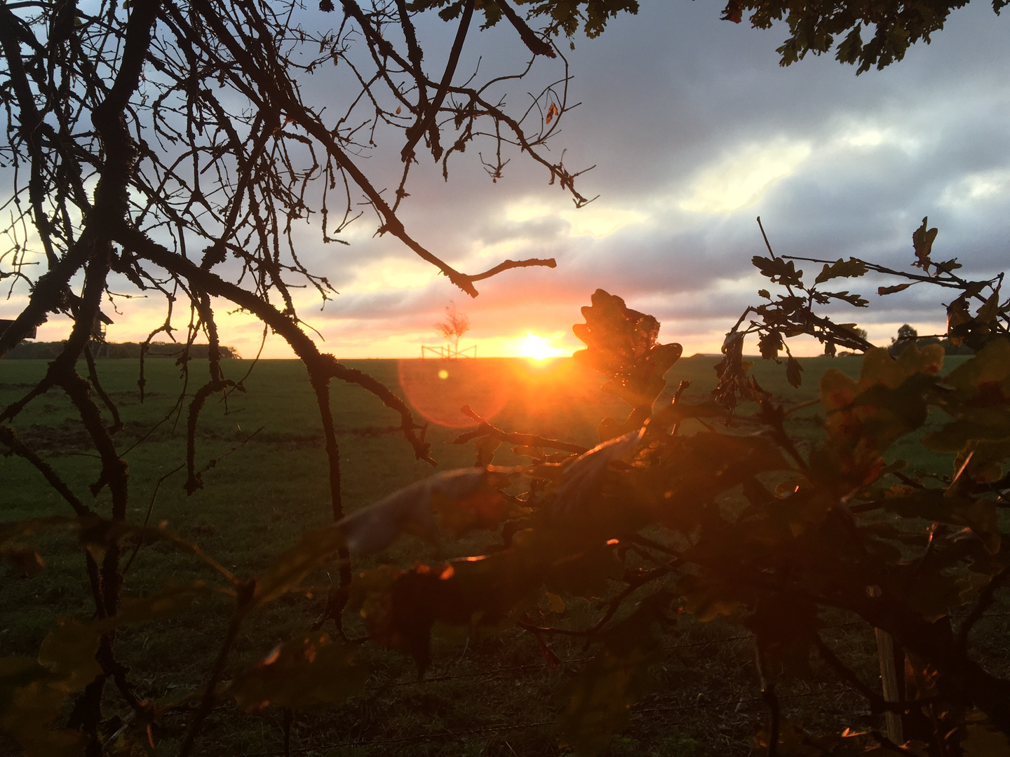 Sonnenaufgang im Aachener Wald