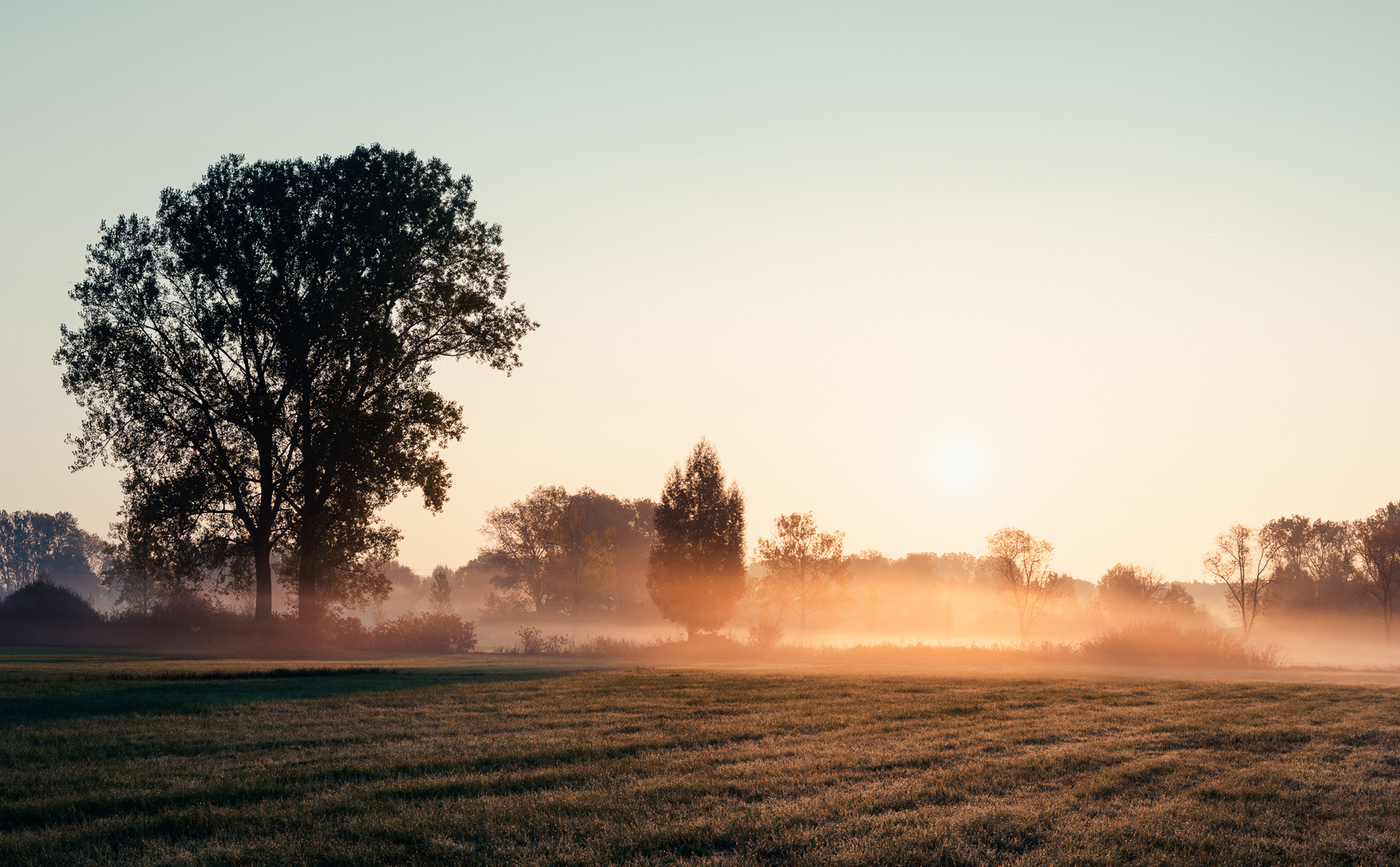 Sonnenaufgang im Aachried im Herbst