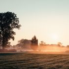 Sonnenaufgang im Aachried im Herbst