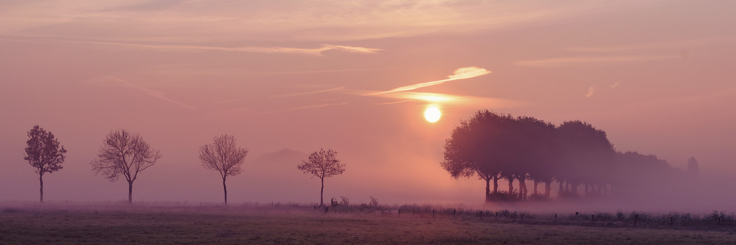 Sonnenaufgang im Achterhoek