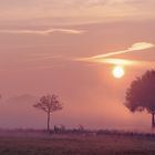 Sonnenaufgang im Achterhoek