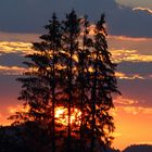 Sonnenaufgang im Allgäu -  20 7 2020