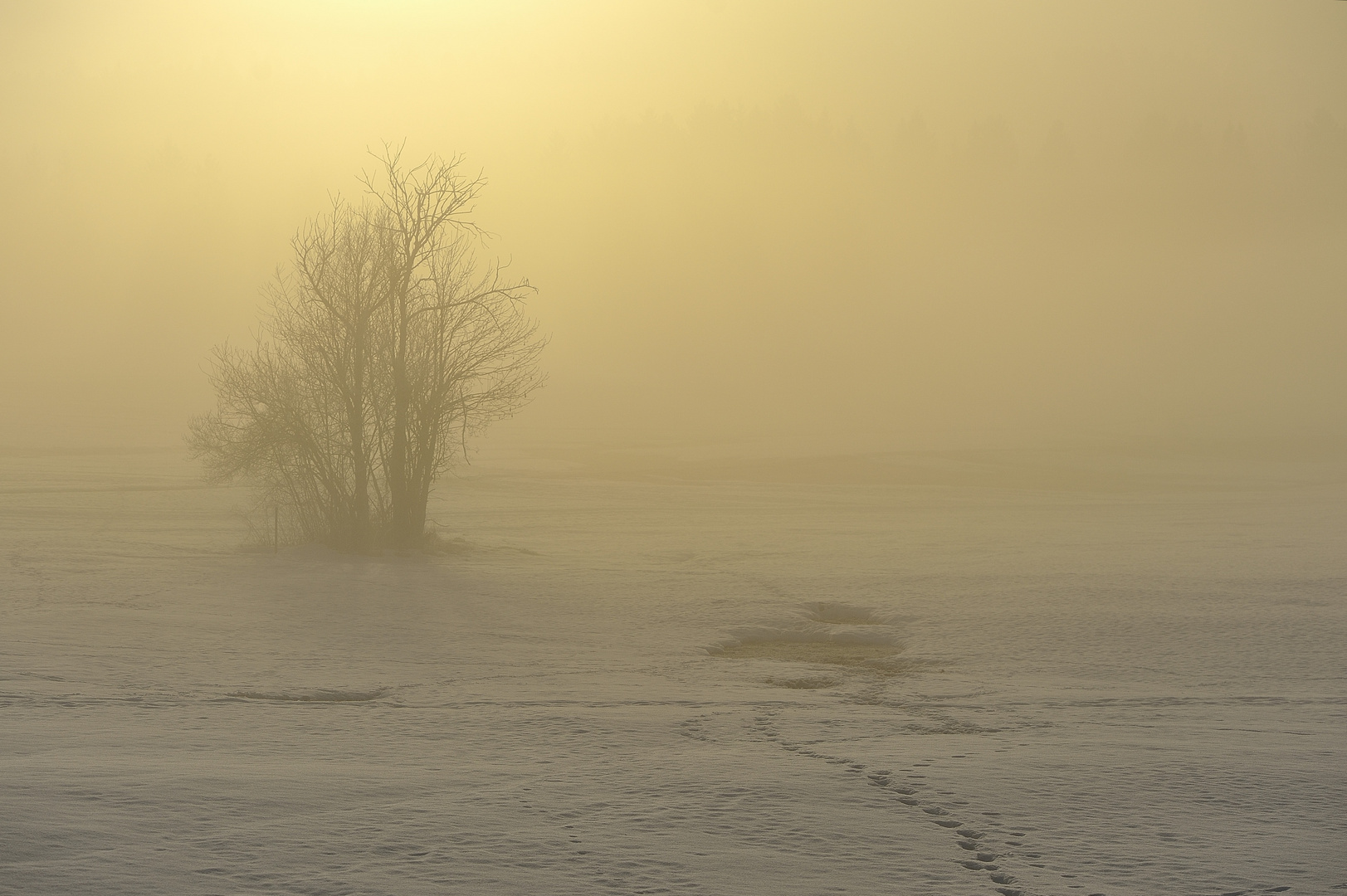 Sonnenaufgang im Allgäu