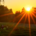 || Sonnenaufgang - Im Allgäu ||