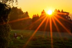 || Sonnenaufgang - Im Allgäu ||