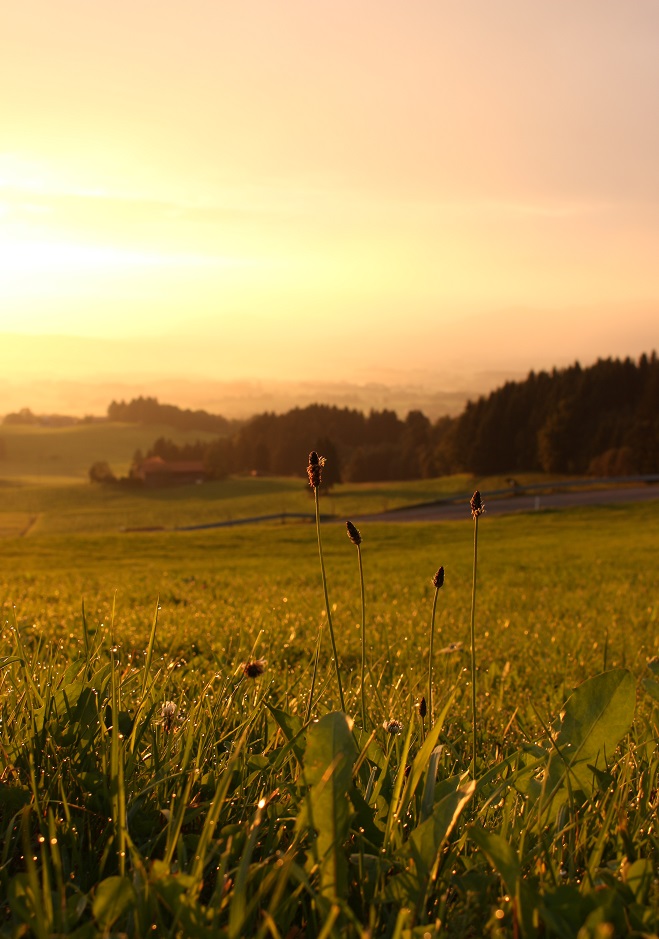 Sonnenaufgang im Allgäu