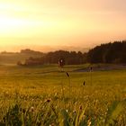 Sonnenaufgang im Allgäu