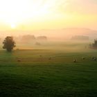 Sonnenaufgang im Allgäu - Hopferau