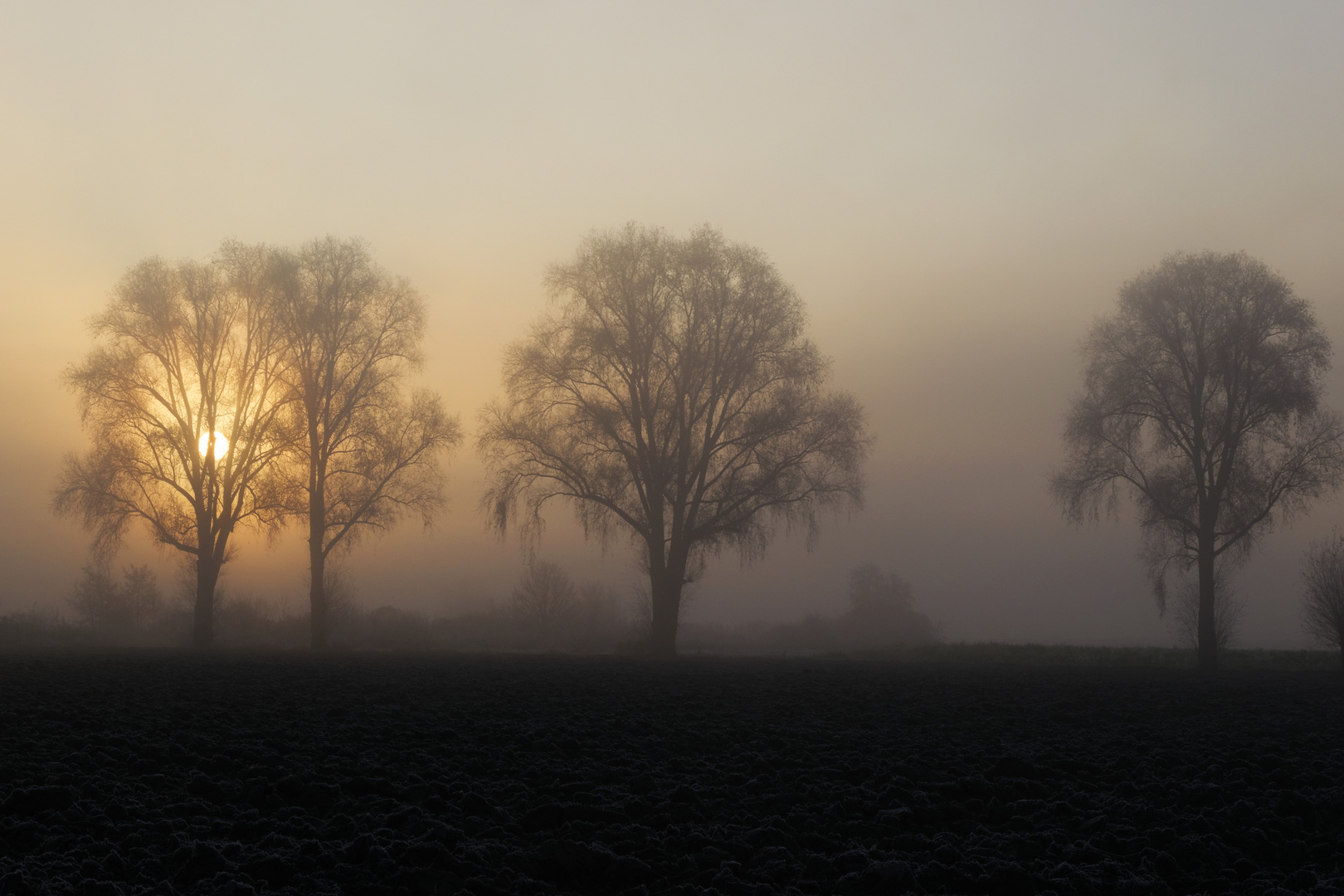 Sonnenaufgang im Altmühltal