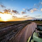 Sonnenaufgang im Amboseli Nationalpark, Kenia