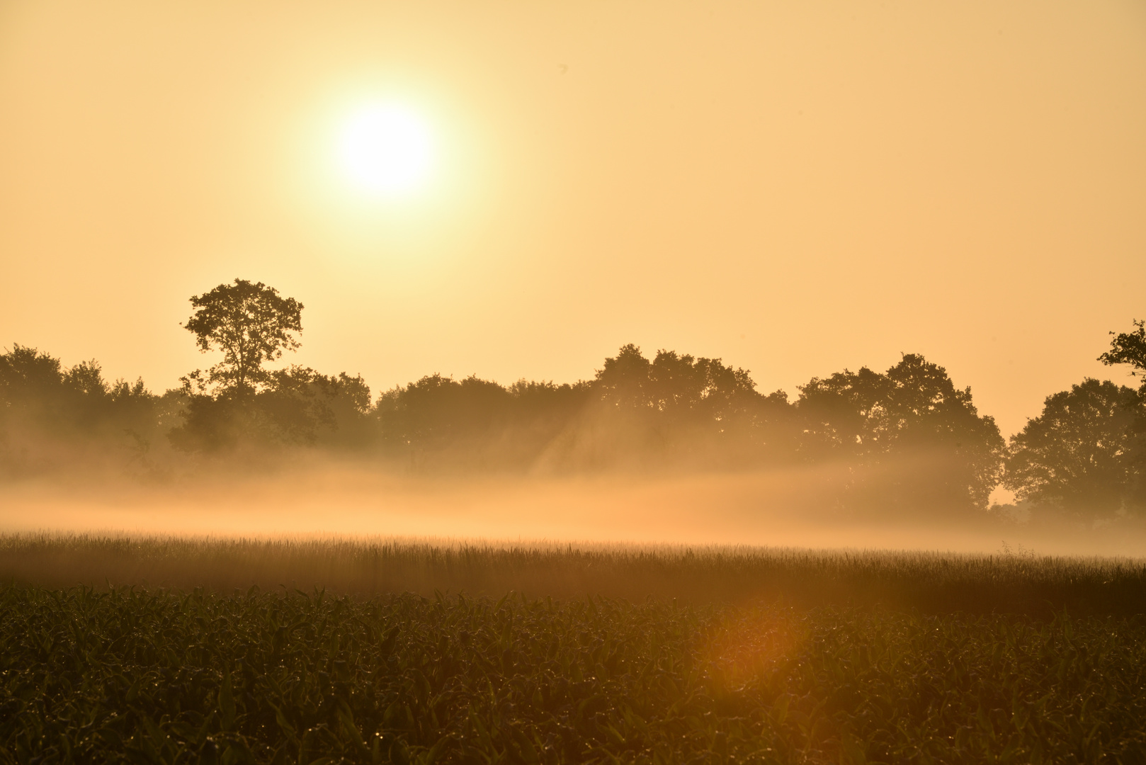 Sonnenaufgang im Ammerland