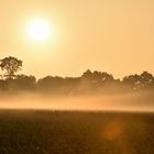 Sonnenaufgang im Ammerland