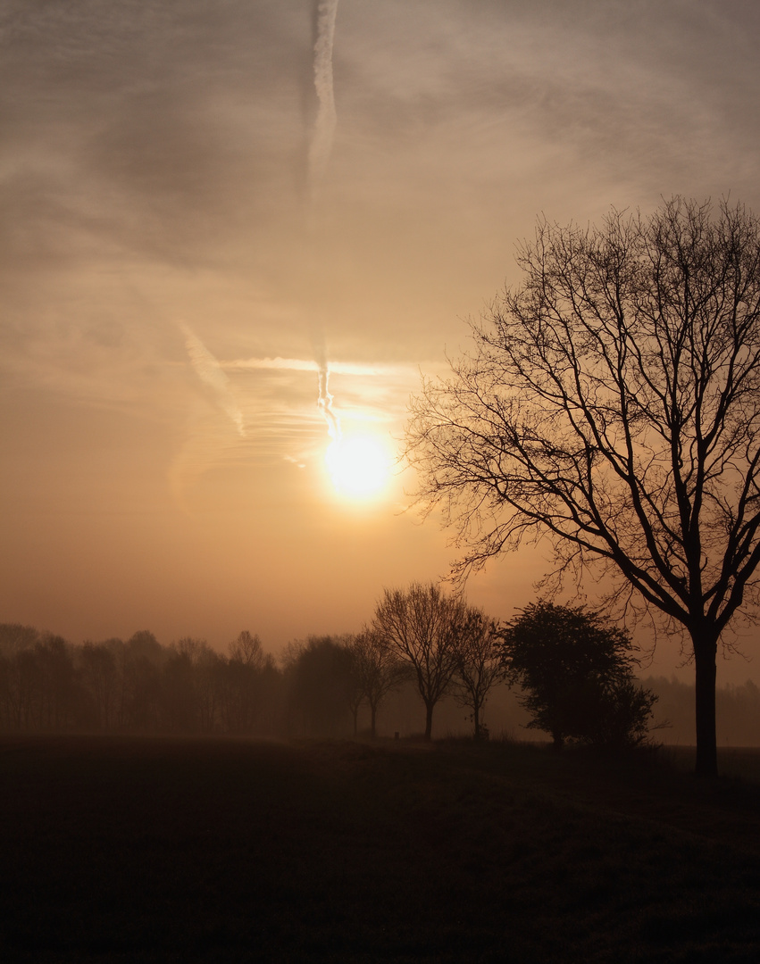 Sonnenaufgang im April