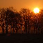 Sonnenaufgang im April