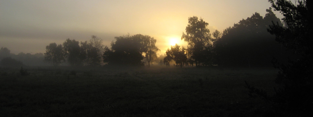 Sonnenaufgang im Augenwald