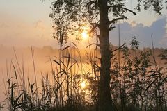 Sonnenaufgang im Bad Wurzacher Ried 1