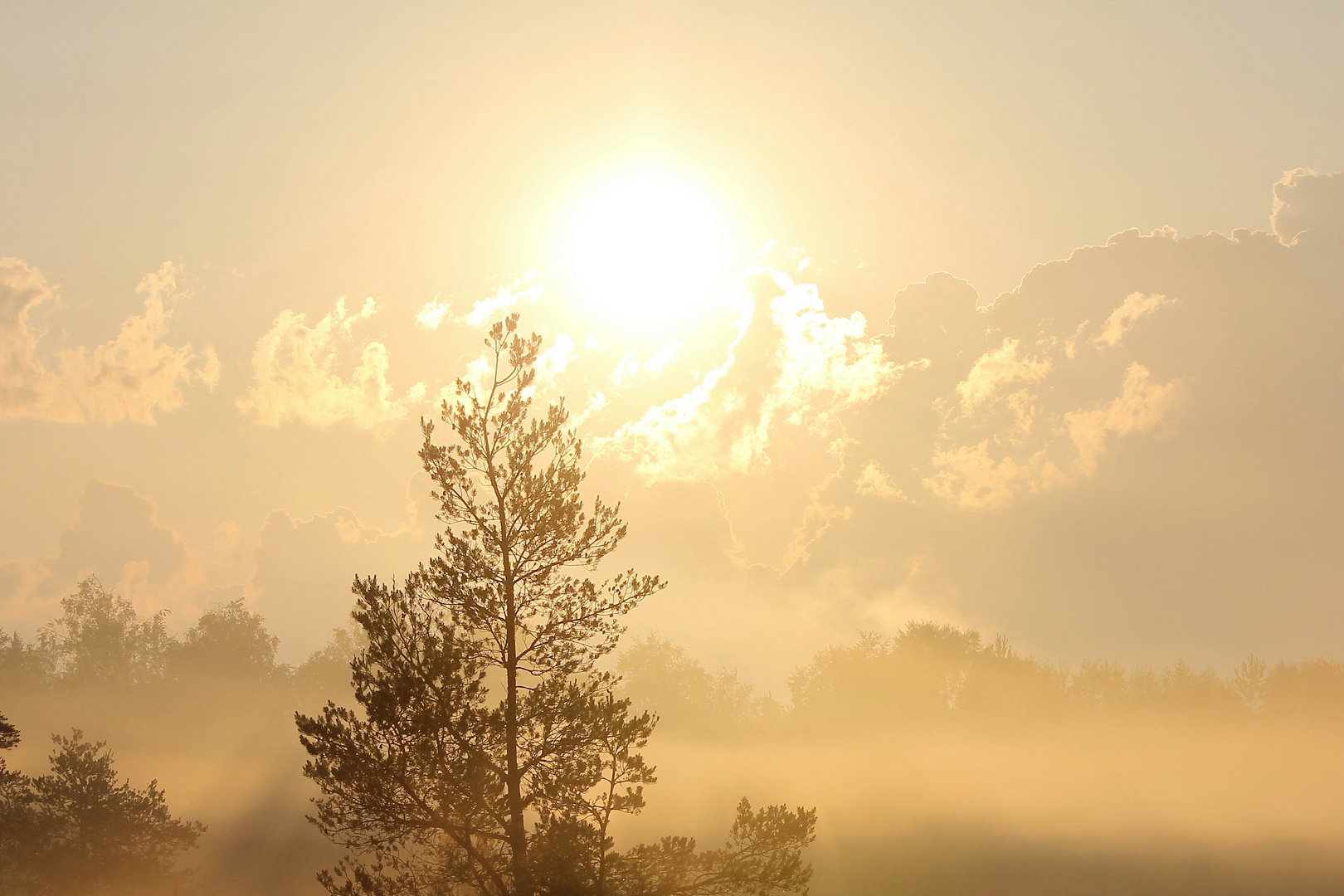 Sonnenaufgang im Bad Wurzacher Ried 2