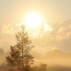 Sonnenaufgang im Bad Wurzacher Ried 2