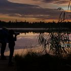 Sonnenaufgang im Bad Wurzacher Ried