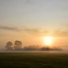 Sonnenaufgang im Badner Land II