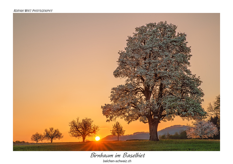 Sonnenaufgang im Baselbiet