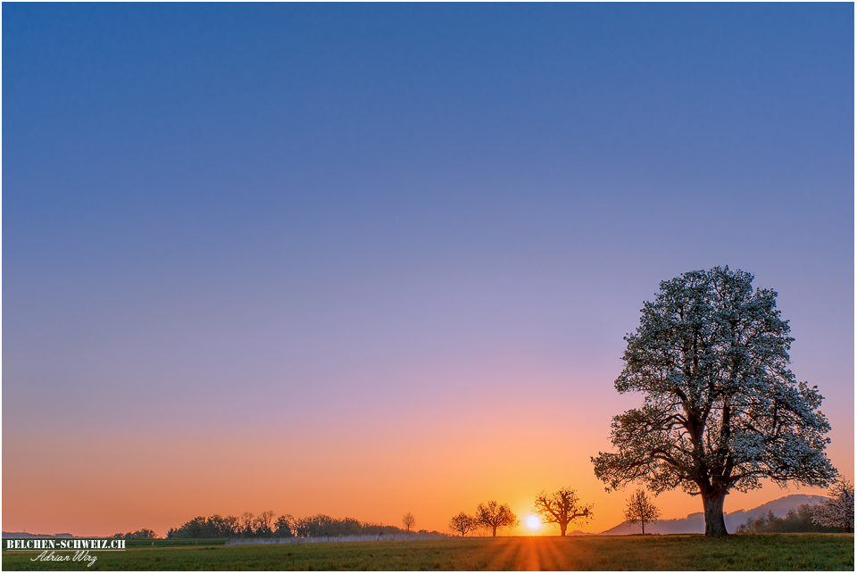 Sonnenaufgang im Baselbiet