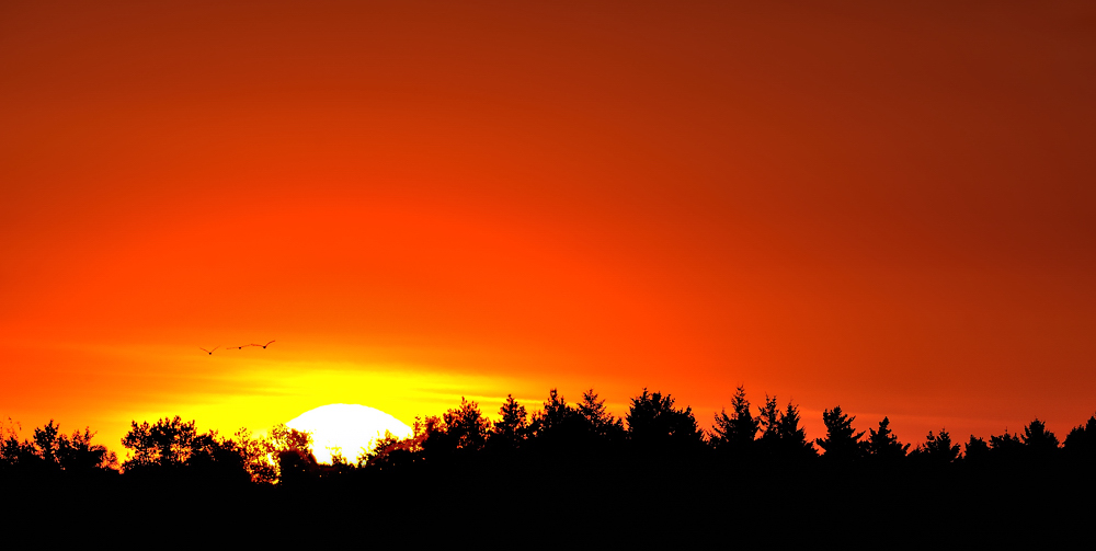 Sonnenaufgang im Bauernmoor