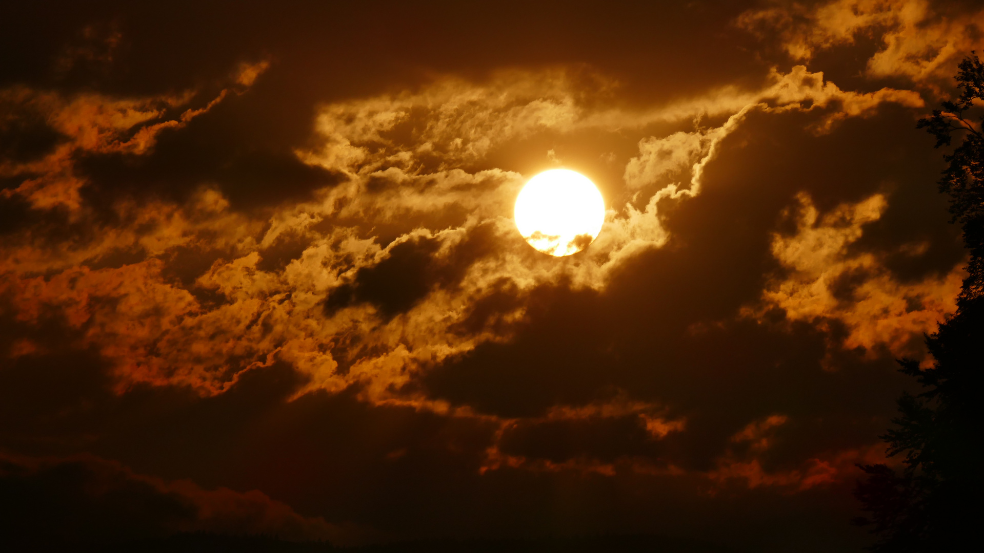 Sonnenaufgang im Bay.Wald