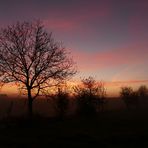 Sonnenaufgang im Bergischen Land Novemberstimmung II