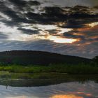 Sonnenaufgang im Biotop