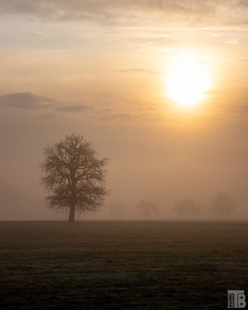 Sonnenaufgang im Bliesgau