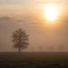 Sonnenaufgang im Bliesgau