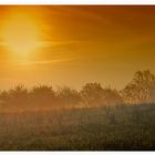 Sonnenaufgang im Bliesgau