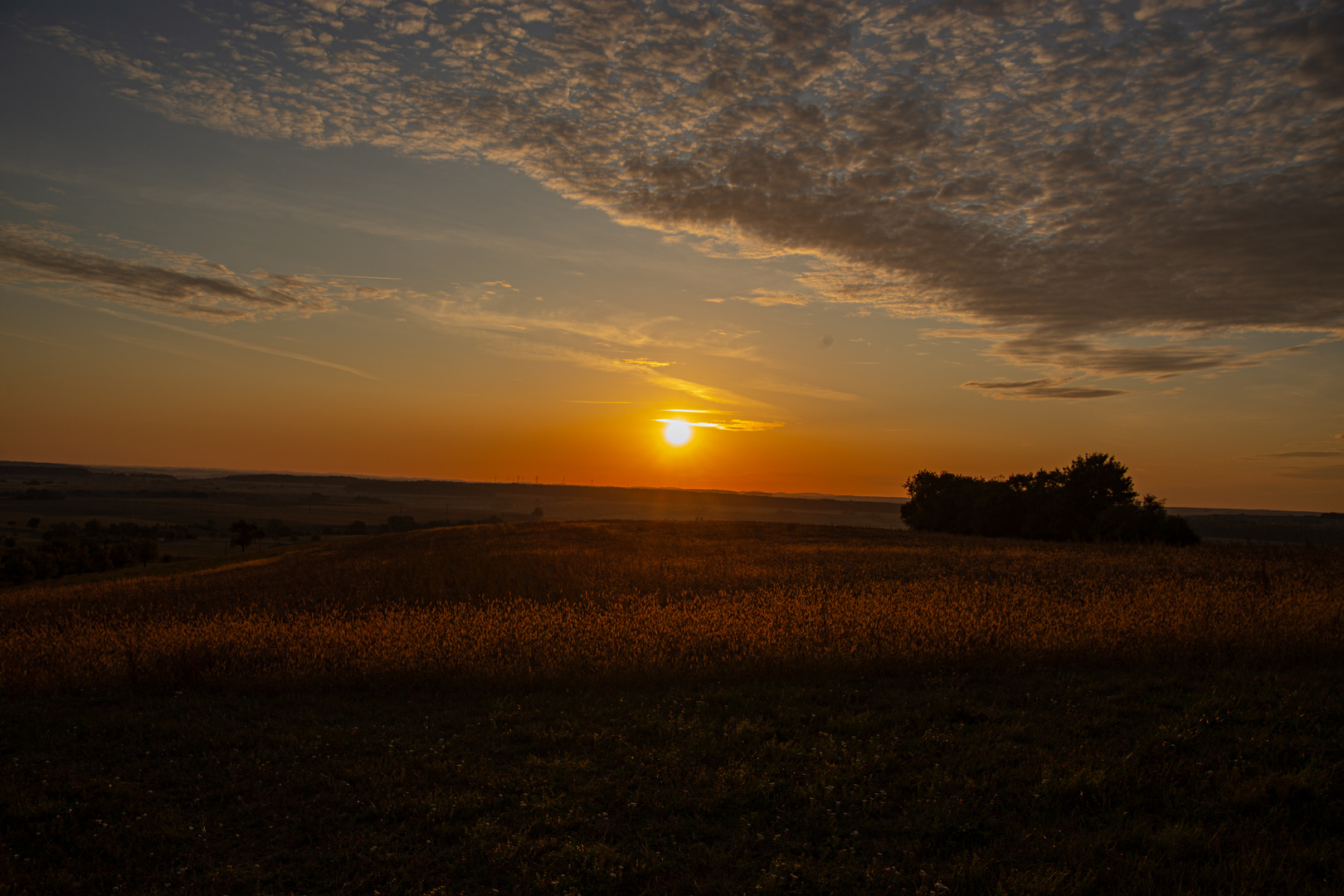 Sonnenaufgang im Bliesgau, Saarland. 